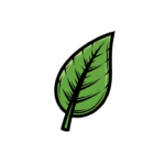 Single, stylized green leaf with a dark outline, set against a black background. The leaf has detailed veining.